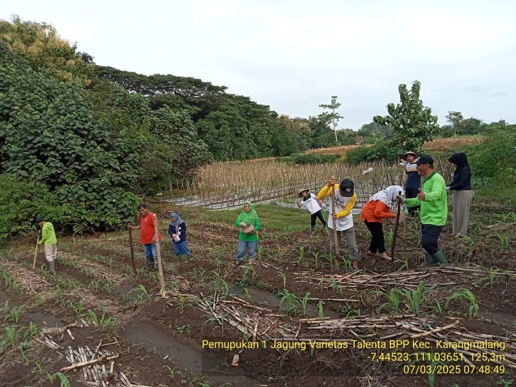 Uji Coba Lapangan: Kecepatan Alburdat vs Metode Manual